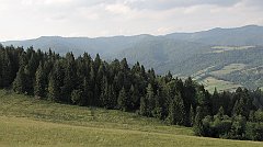 2017_07_06_Piwniczna_Szczawnica