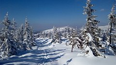 393_A806_IMG_20180301_130456