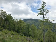174_iP_180514_IMG_1207