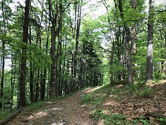 418_iP_180514_IMG_1248