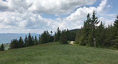 253_iP_180527_IMG_1317