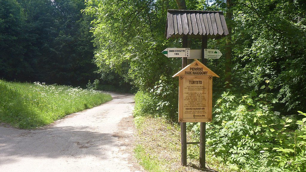 220_3D_P1310066.JPG