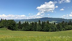 103_iP_180529_IMG_1521