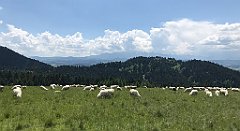 188_iP_180529_IMG_1541