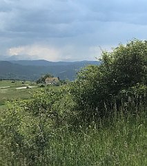 382_iP_180529_IMG_1573