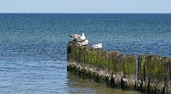 220_IMG_x27151