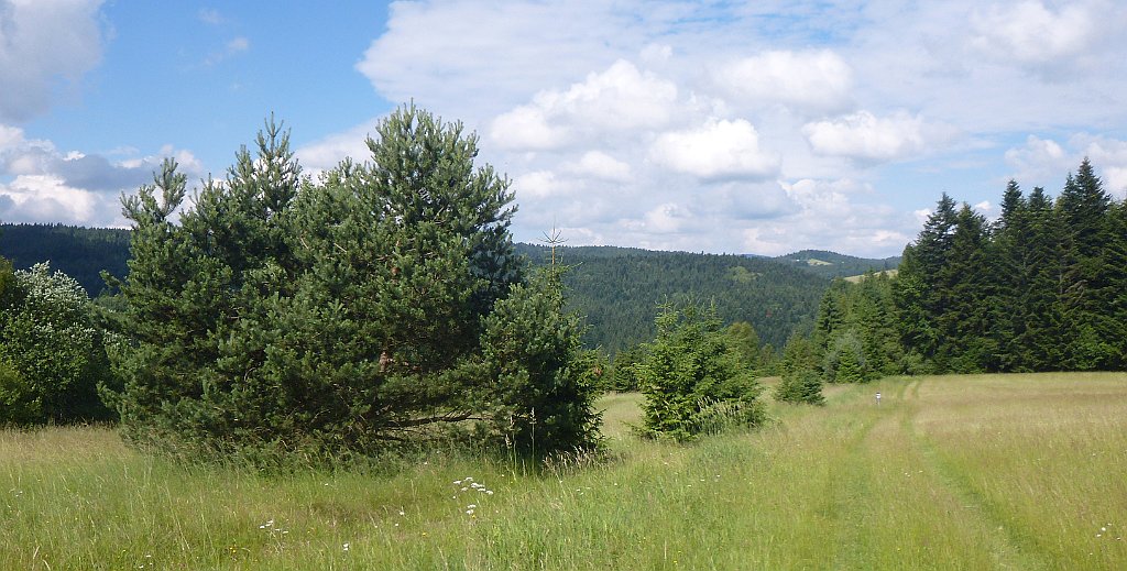 087_3D_P1310461.JPG