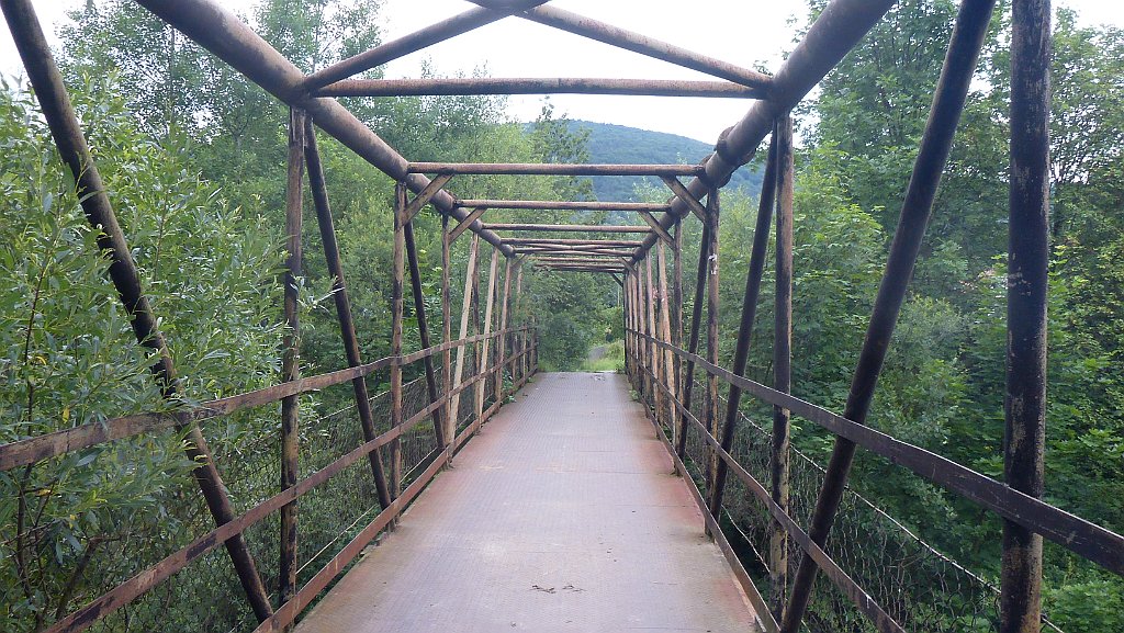 253_3D_P1310558.JPG