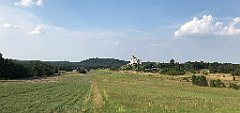 233_iP_180809_IMG_2353