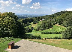 161_ip_20180812_IMG_2367