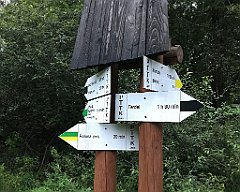 480_iP_180821_IMG_2545