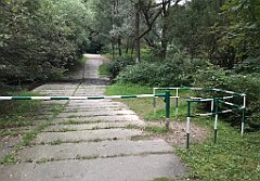 482_iP_180821_IMG_2547