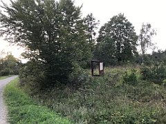 400_iP_180828_IMG_2951