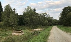 402_iP_180828_IMG_2953