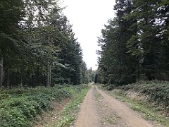 414_iP_180828_IMG_2966