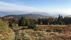 113_iP_181009_IMG_3099