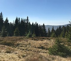 124_iP_181009_IMG_3100