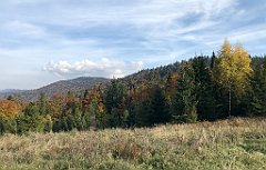 365_iP_181009_IMG_3141