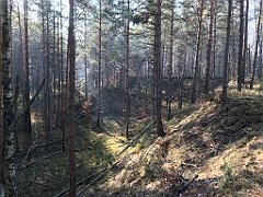 182_iP_181110_IMG_3227