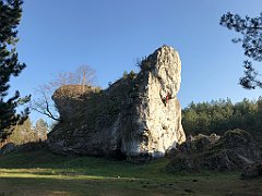 221_iP_181110_IMG_3238