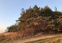 276_iP_181110_IMG_3245