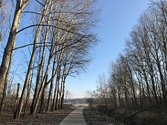 011_iP_181130_IMG_3257