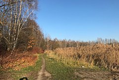 020_iP_181130_IMG_3269