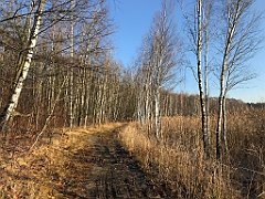 025_iP_181130_IMG_3272