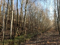 027_iP_181130_IMG_3274