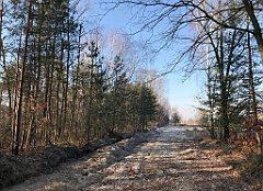 036_iP_181130_IMG_3275