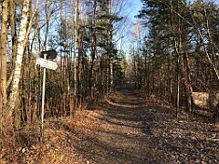 048_iP_181130_IMG_3285