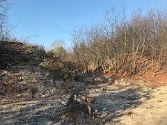 066_iP_181130_IMG_3302