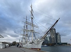 ip_20190114_IMG_3505