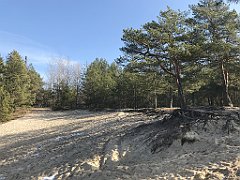 197_ip_190218_IMG_3569