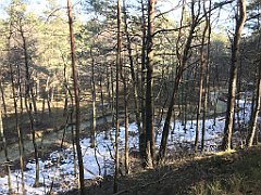 209_ip_190218_IMG_3573