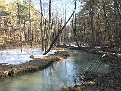 214_ip_190218_IMG_3581