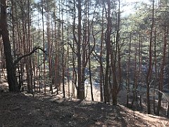239_ip_190218_IMG_3597