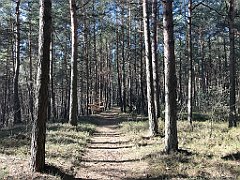 251_ip_190218_IMG_3612