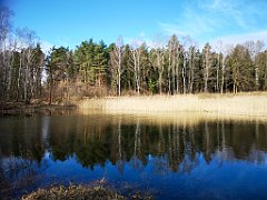 064_20_IMG_20190309_103233