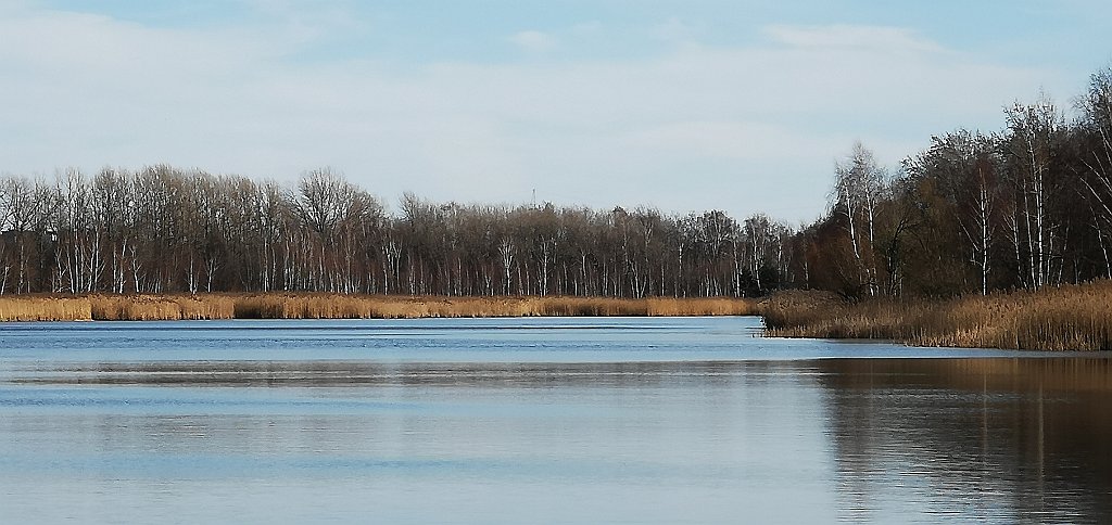 124_p20_IMG_20190317_143130.jpg - oznor