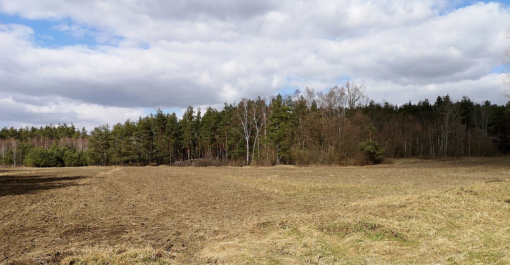 135_p20_IMG_20190320_122739.jpg - rrem