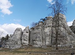 105_p20_IMG_20190320_111418