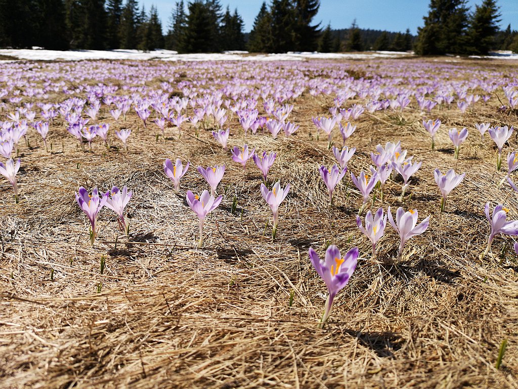 146_p20_IMG_20190420_131713.jpg - rrem