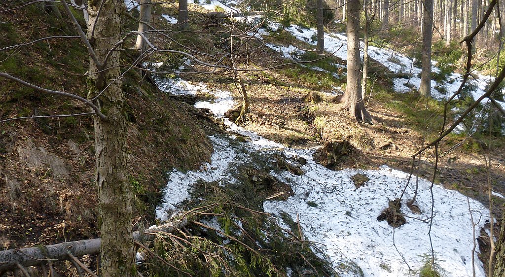 201_3D2_P1010551.JPG