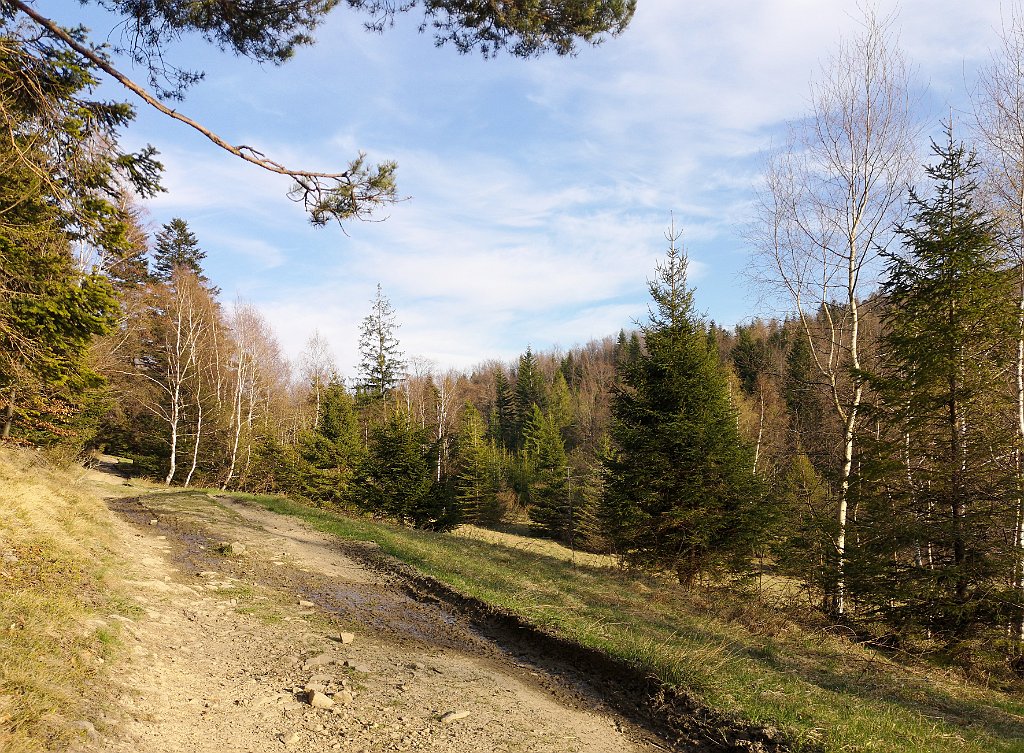 251_p20_IMG_20190420_181219.jpg - rrem