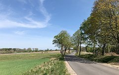 226_iP_20190430_IMG_3820