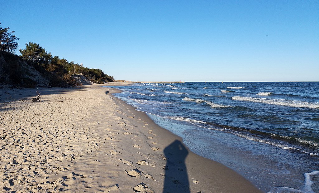 029_p20_IMG_20190505_065259.jpg - rrem