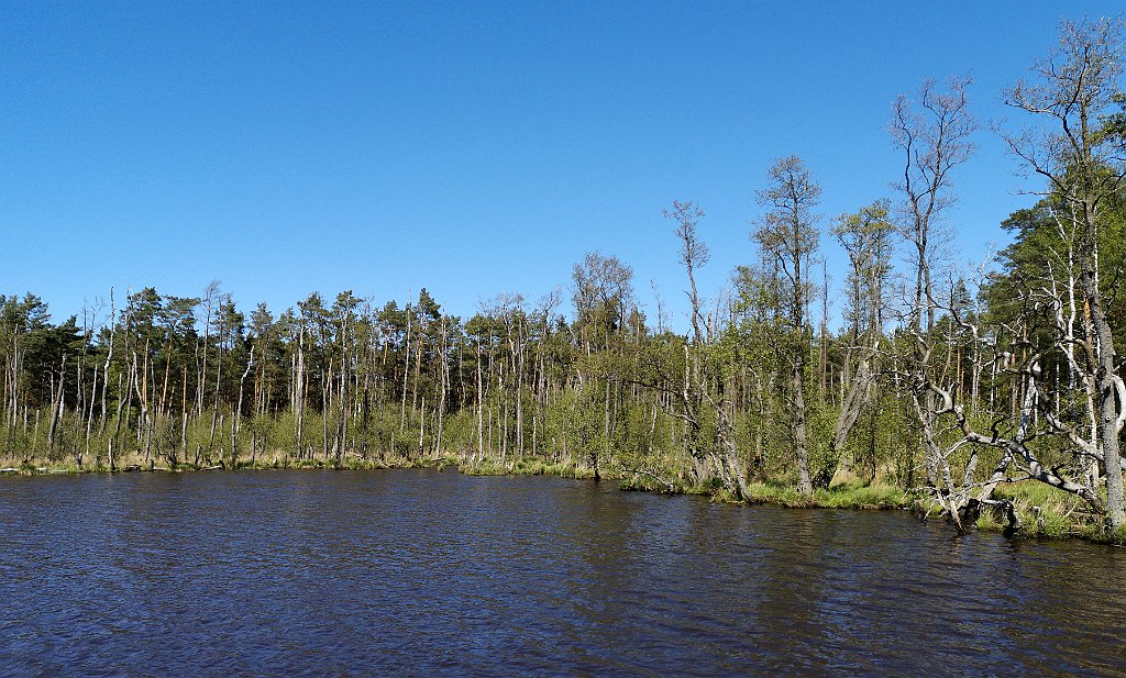 344_p20_IMG_20190505_143352.jpg - rrem