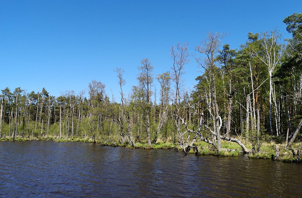 345_p20_IMG_20190505_143359.jpg - rrem