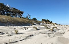 090_iP_20190505_IMG_3895